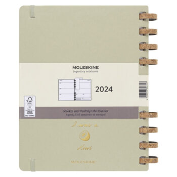 kiwi notebook