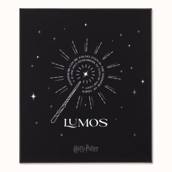 moleskine harry poter