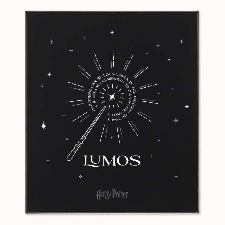 moleskine harry poter