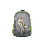 school backpack